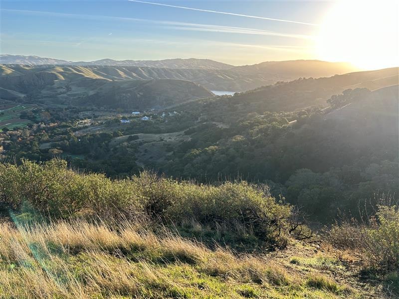 A sunlit landscape with rolling hills, valleys, and distant water, framed by brush in the foreground.