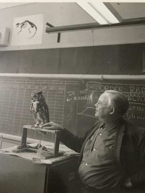 An owl perches on a podium where a person gestures, with chalkboards and diagrams in the background.