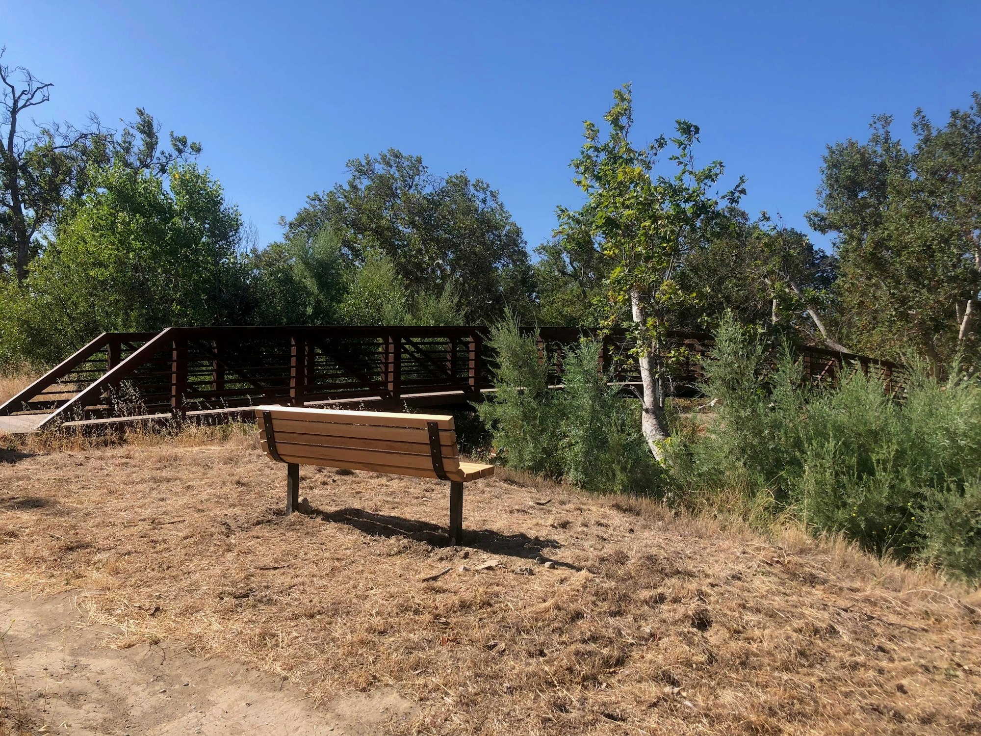 Memorial Bench at Sycamore Grove Park