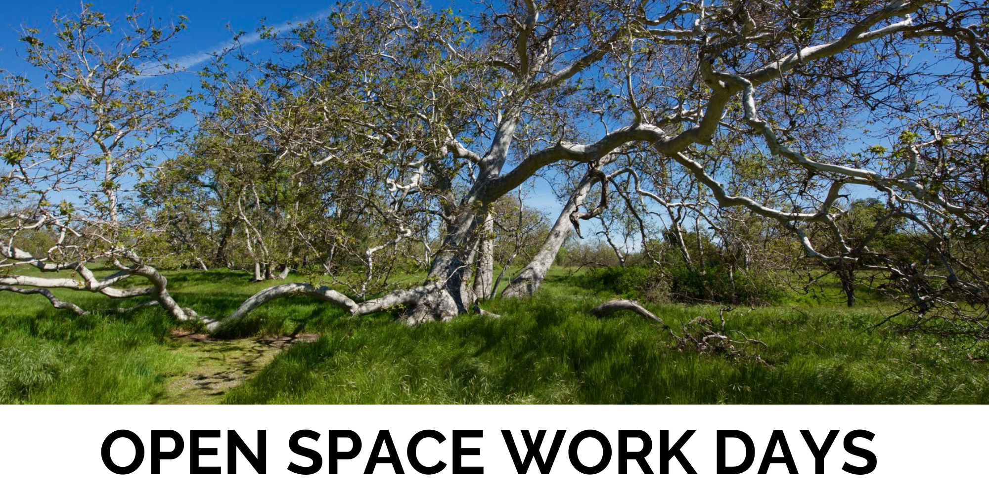 click to view open space volunteer work days