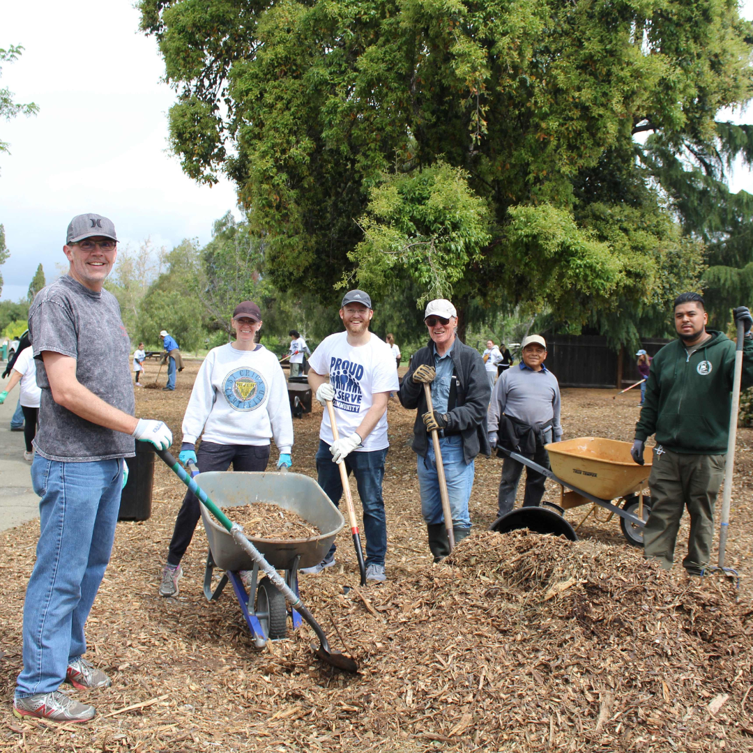 Group of smiling people with wheelbarrows and gardening tools doing outdoor community work.