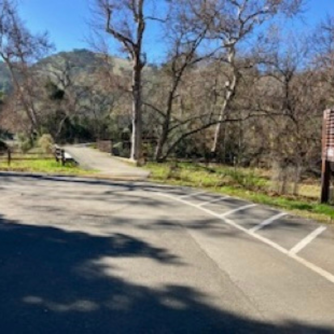 A winding road near bare trees and hills under a clear blue sky.