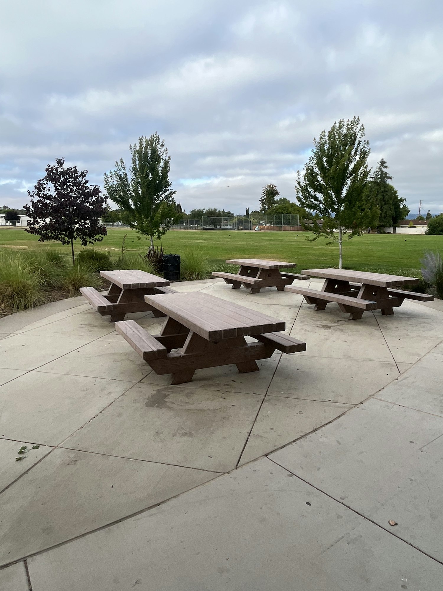 picnic tables