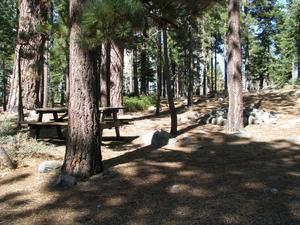 May contain: grove, woodland, tree, vegetation, land, outdoors, nature, plant, park, grass, path, wilderness, and trail