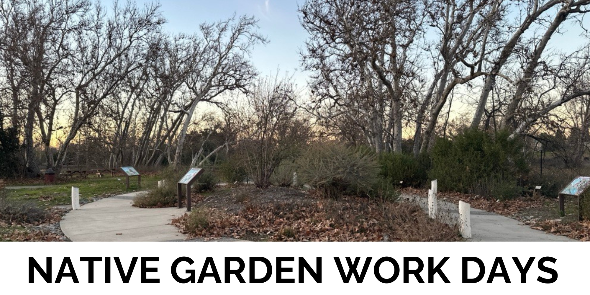 click to view native garden work days volunteer opportunity