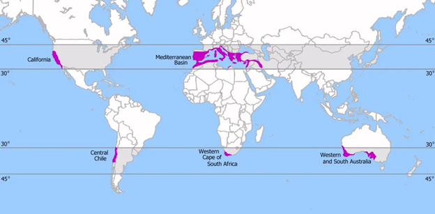 World map highlighting Mediterranean climate regions: California, Central Chile, Mediterranean Basin, Western Cape of South Africa, Australia.