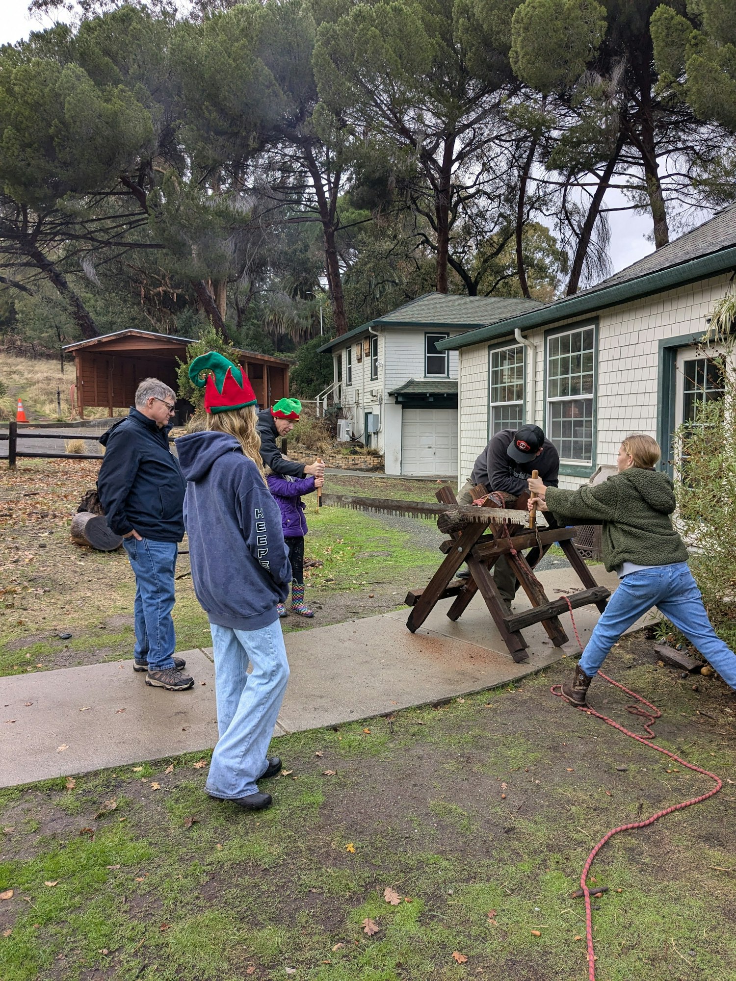 People sawing wood outdoors, some wearing festive elf hats, surrounded by trees and buildings.