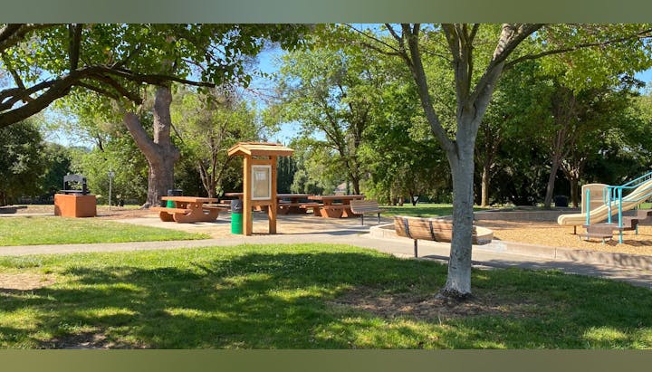 Outdoor park with trees, picnic tables, a grill, a notice board, and a playground slide on a sunny day.