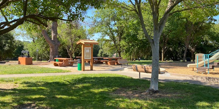 Outdoor park with trees, picnic tables, a grill, a notice board, and a playground slide on a sunny day.
