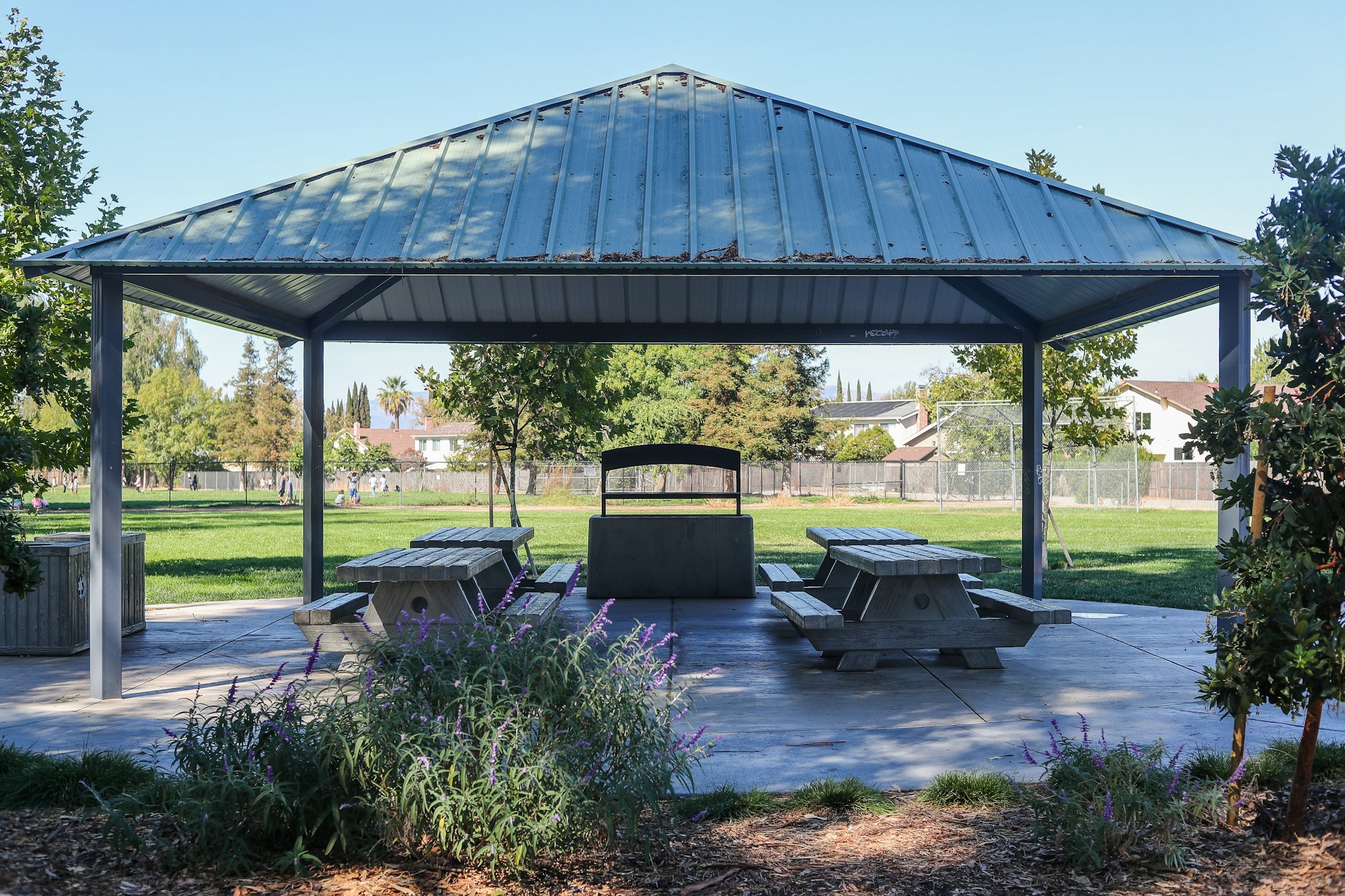 A park shelter with picnic benches and a trash bin under it, surrounded by grass and some plants.