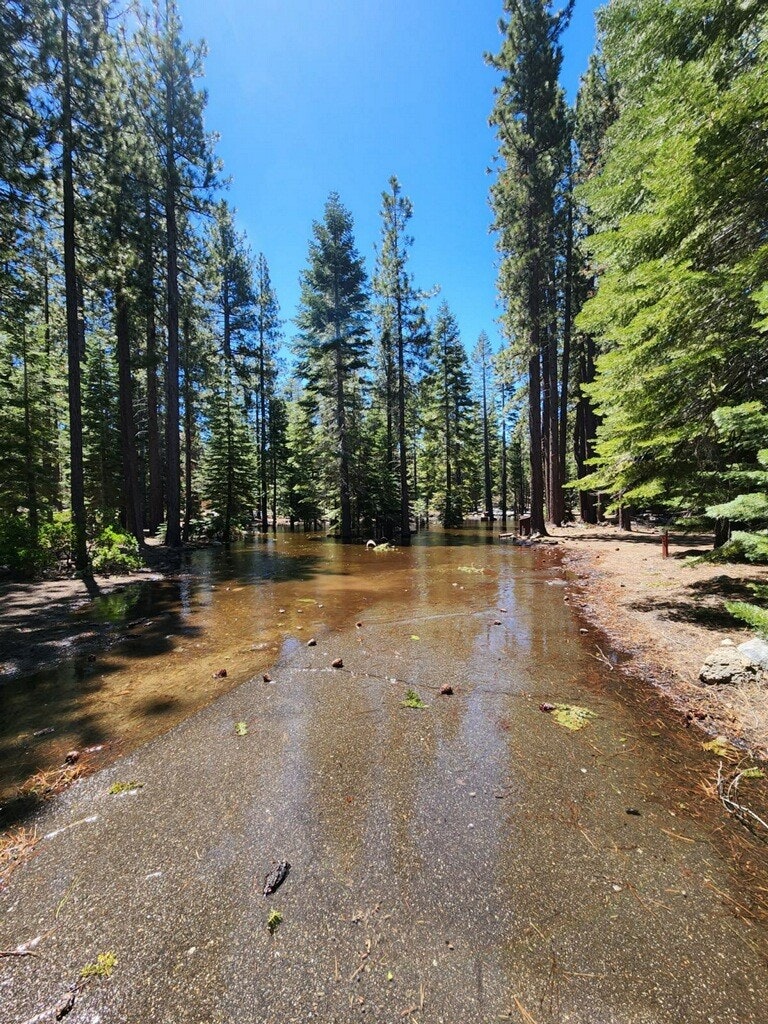 May contain: grove, land, nature, outdoors, plant, tree, vegetation, woodland, path, trail, wilderness, scenery, water, rock, creek, stream, and rainforest