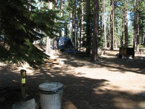 May contain: camping, outdoors, tent, woodland, tree, vegetation, nature, plant, land, and grove