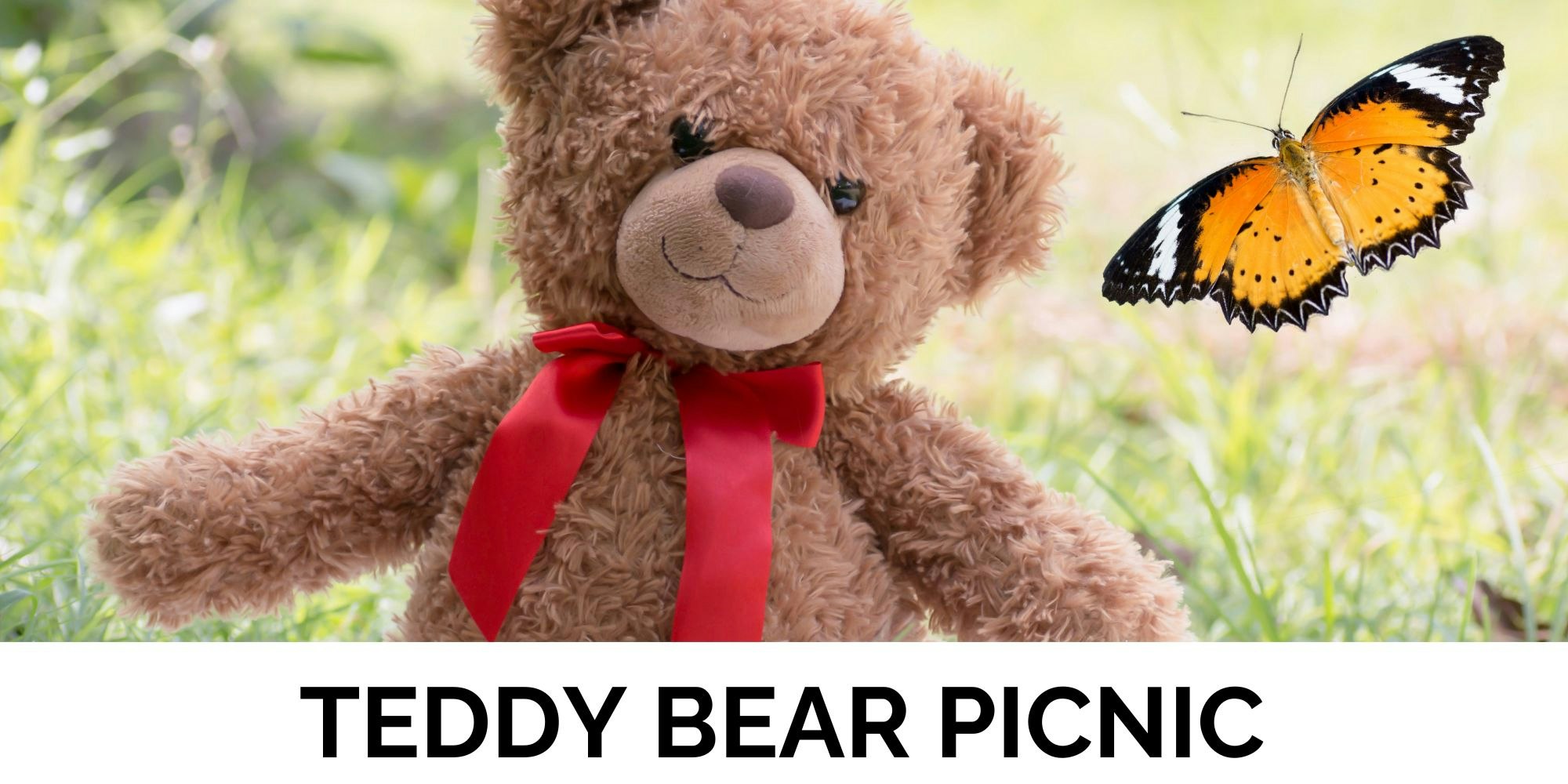 A cute teddy bear with a red ribbon sits in a grassy setting, next to a colorful butterfly, indicating a picnic theme.