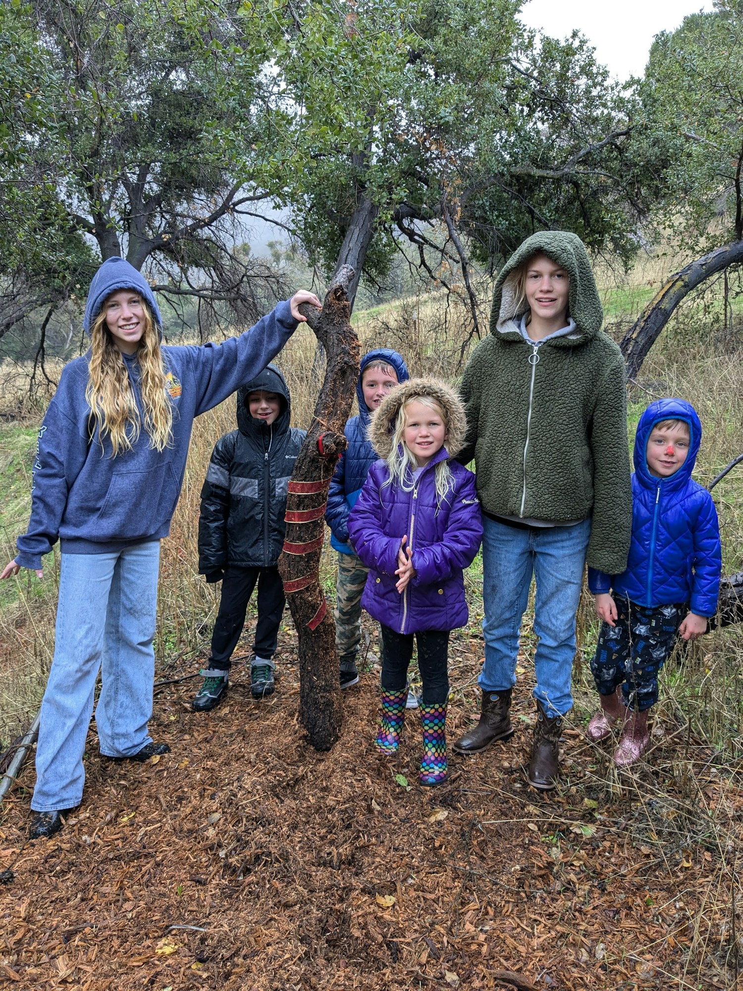 A group of children in hoodies and jackets gathered outdoors near a tree.