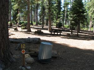May contain: grove, tree, woodland, vegetation, land, outdoors, nature, plant, park, grass, bench, furniture, and wilderness
