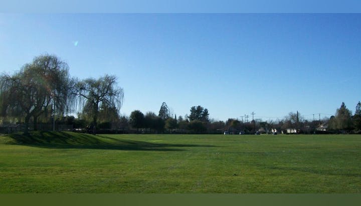 A grassy field with trees under a clear blue sky.