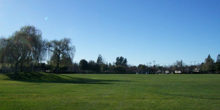 A grassy field with trees under a clear blue sky.
