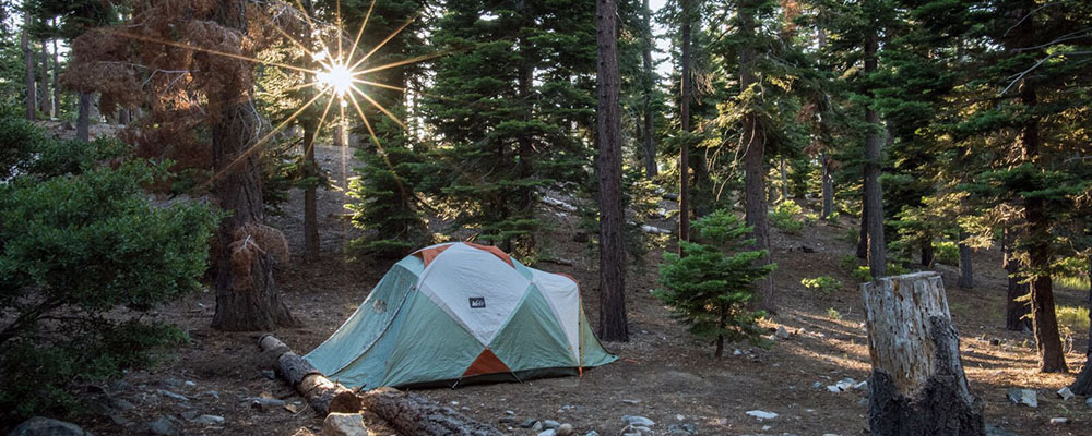 May contain: camping, outdoors, shelter, building, architecture, tent, tree, and plant