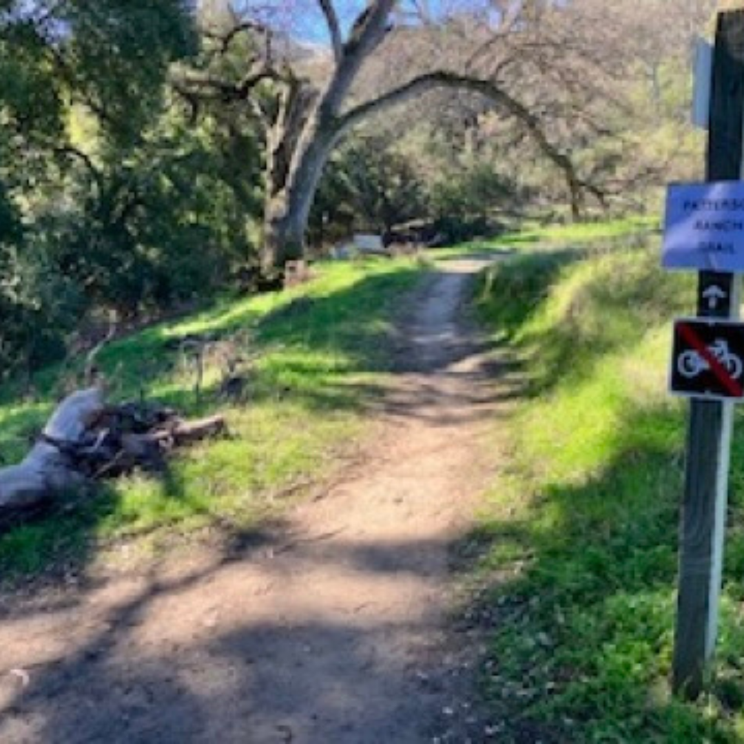 A dirt trail in a forested area with a sign saying "no bikes."