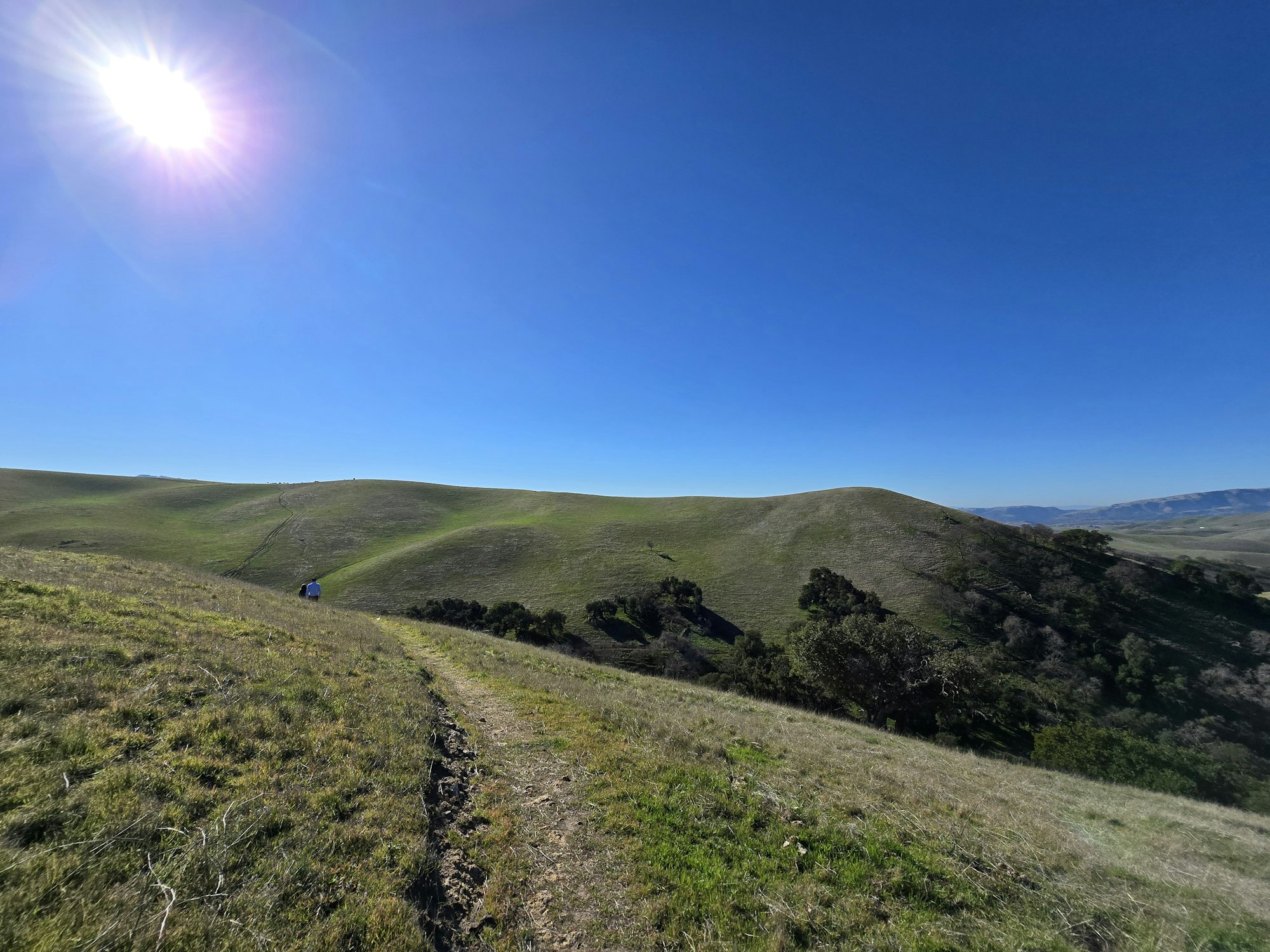 A sunny day on grassy hills with a clear blue sky and a path leading through the landscape.