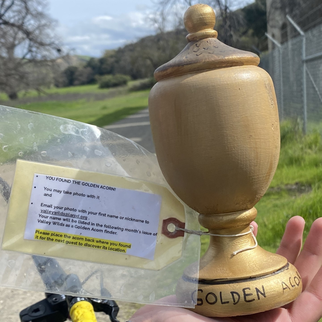 A wooden "Golden Acorn" trophy with a note instructing finders to take a photo and relocate it for others to find.