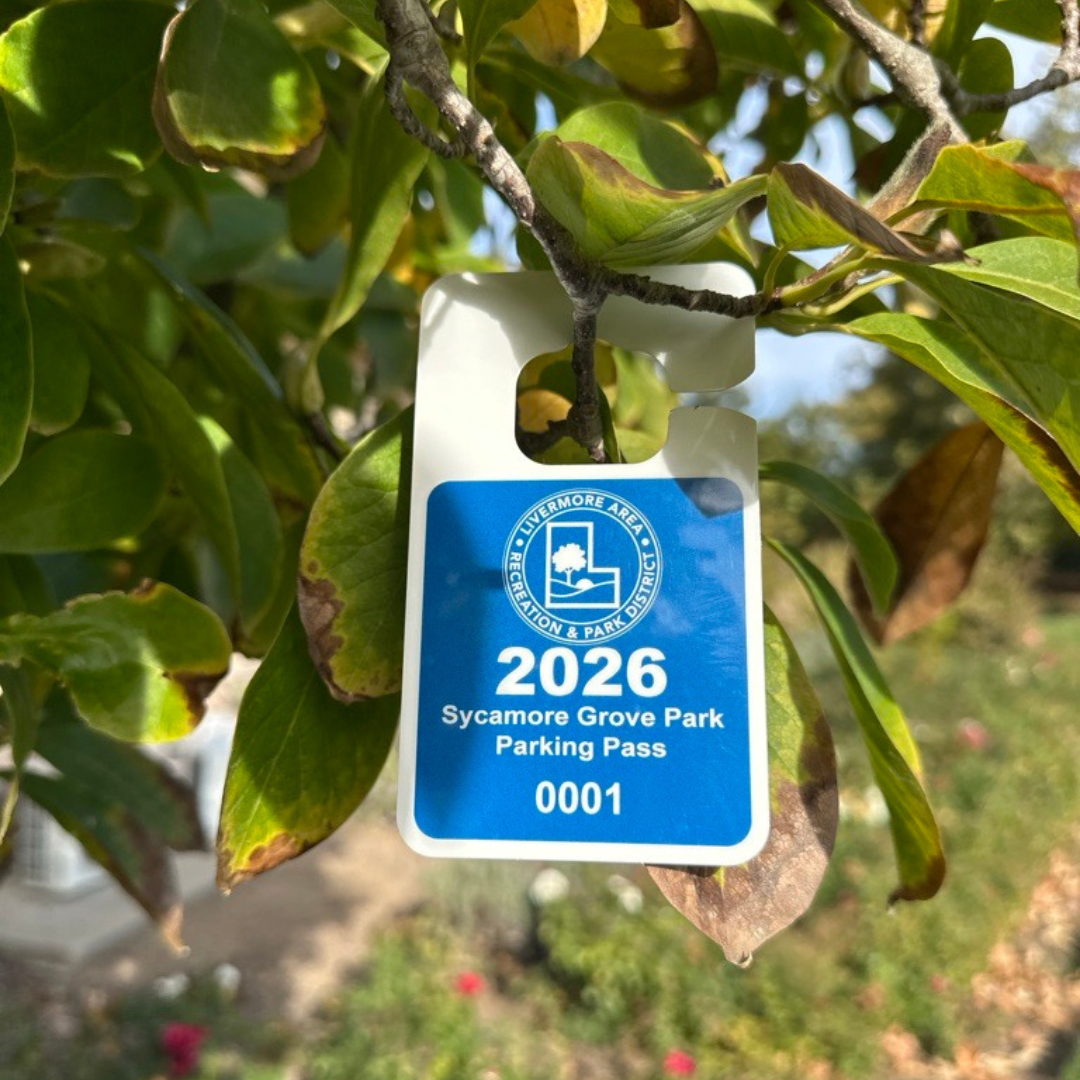 A blue parking pass for Sycamore Grove Park, valid for 2026, from the Livermore Area Recreation & Park District.