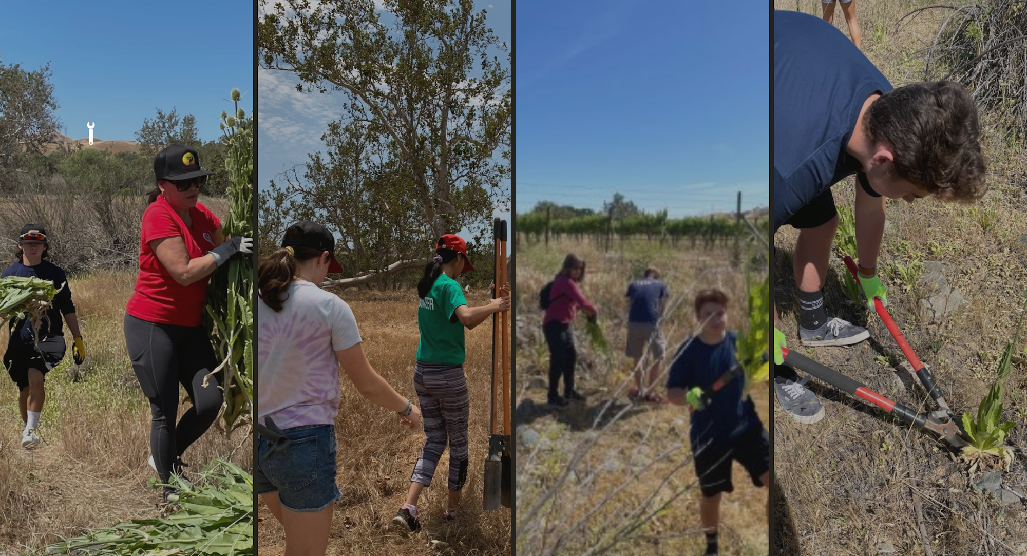 People working outdoors, clearing vegetation and using tools in a dry, grassy area.