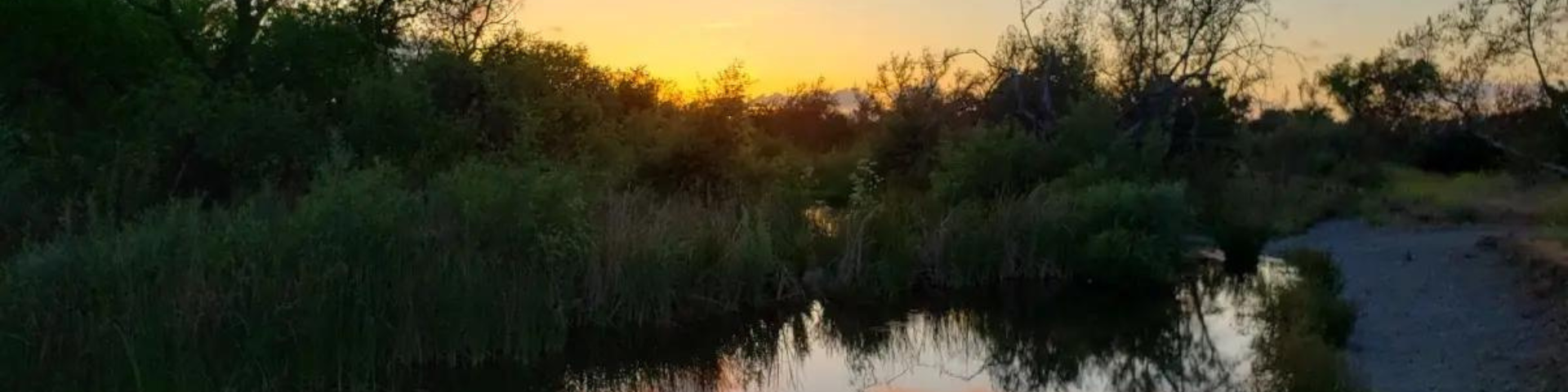 Sunset over a serene reflecting river surrounded by lush vegetation and trees.