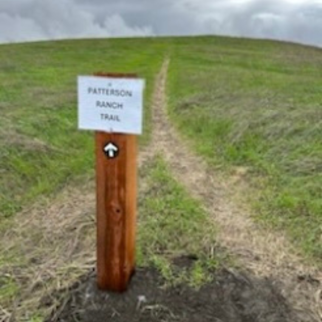 Trail sign for Patterson Ranch Trail on a path through grassy hills under cloudy skies.