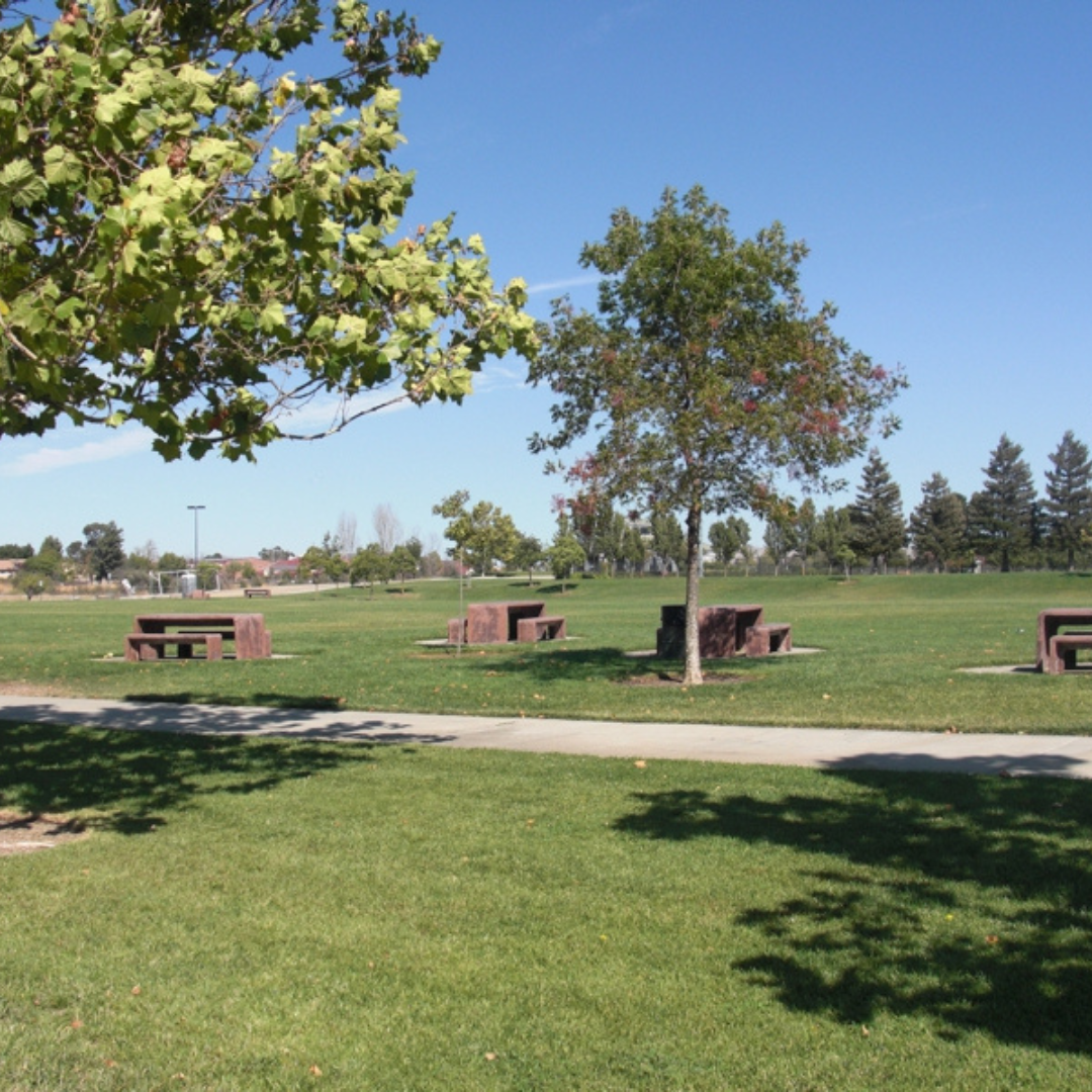 A sunny park with grass, trees, benches, and a walkway.
