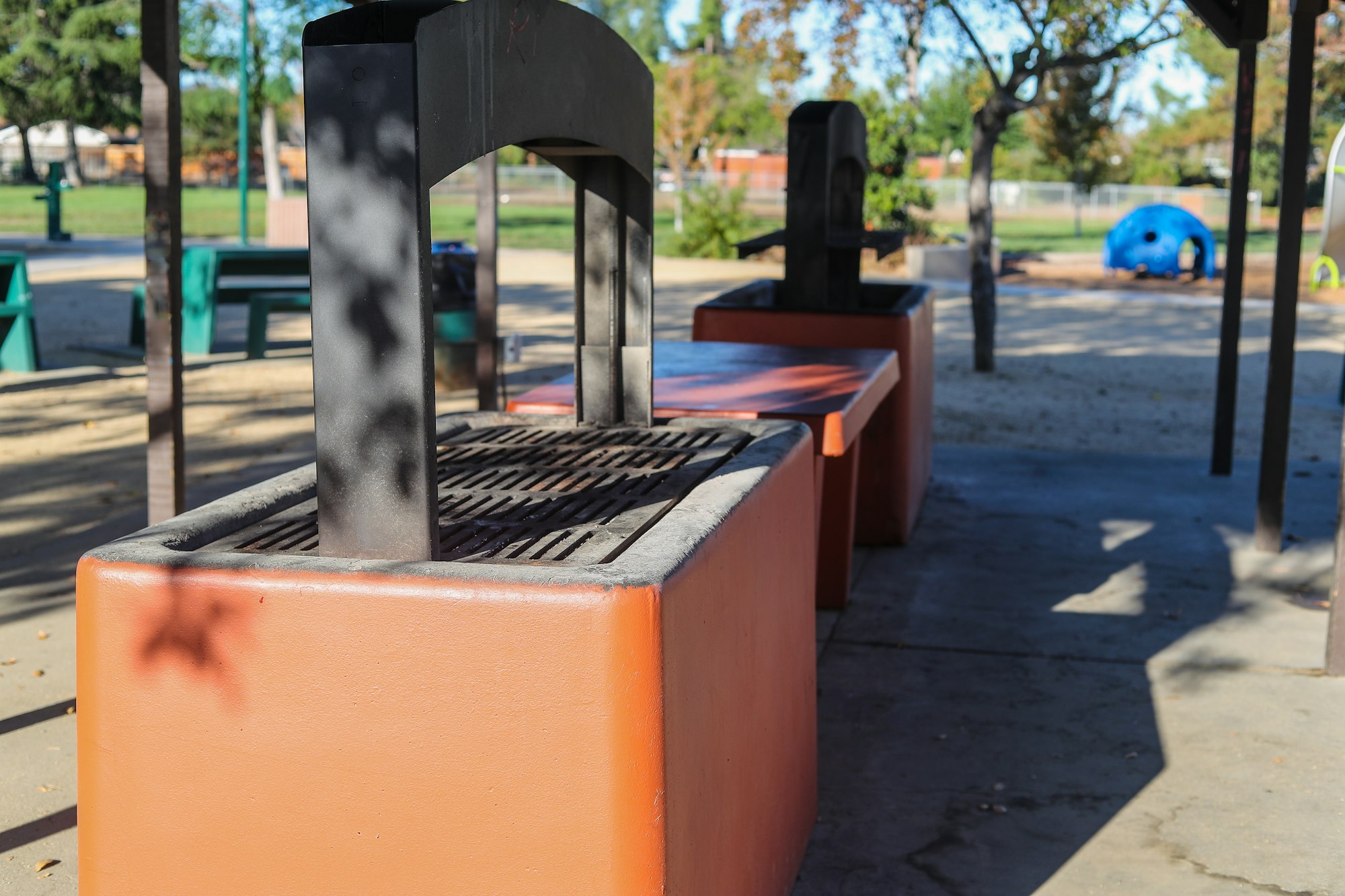 May contain: outdoor play area, outdoors, play area, grass, nature, park, and plant