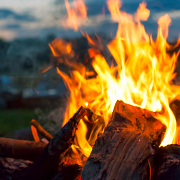 A campfire with burning logs and flames.