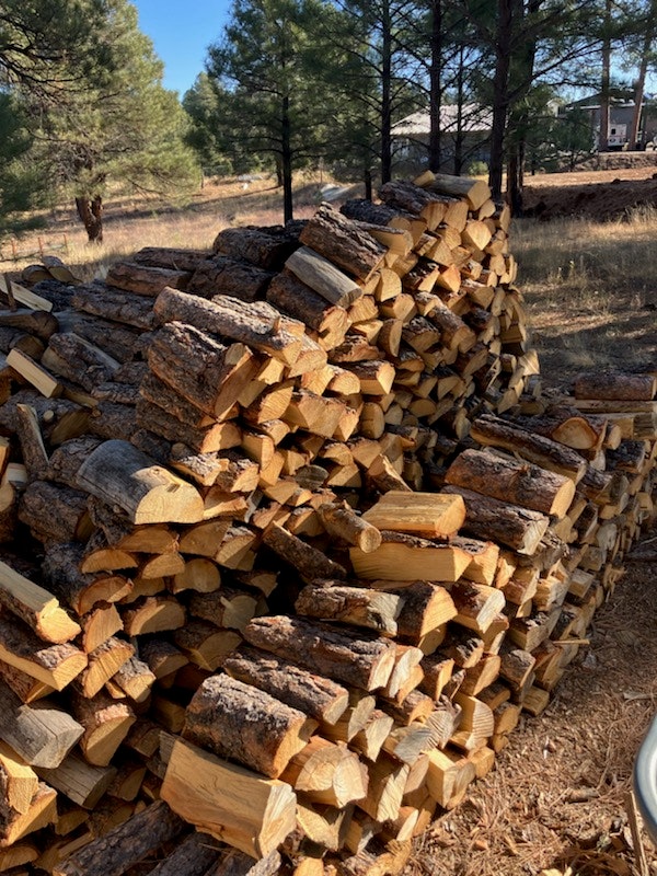 A pile of chopped firewood in a forest setting.