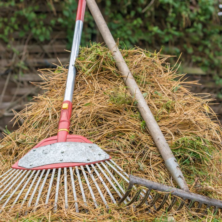 Rake and garden fork resting on a pile of straw.