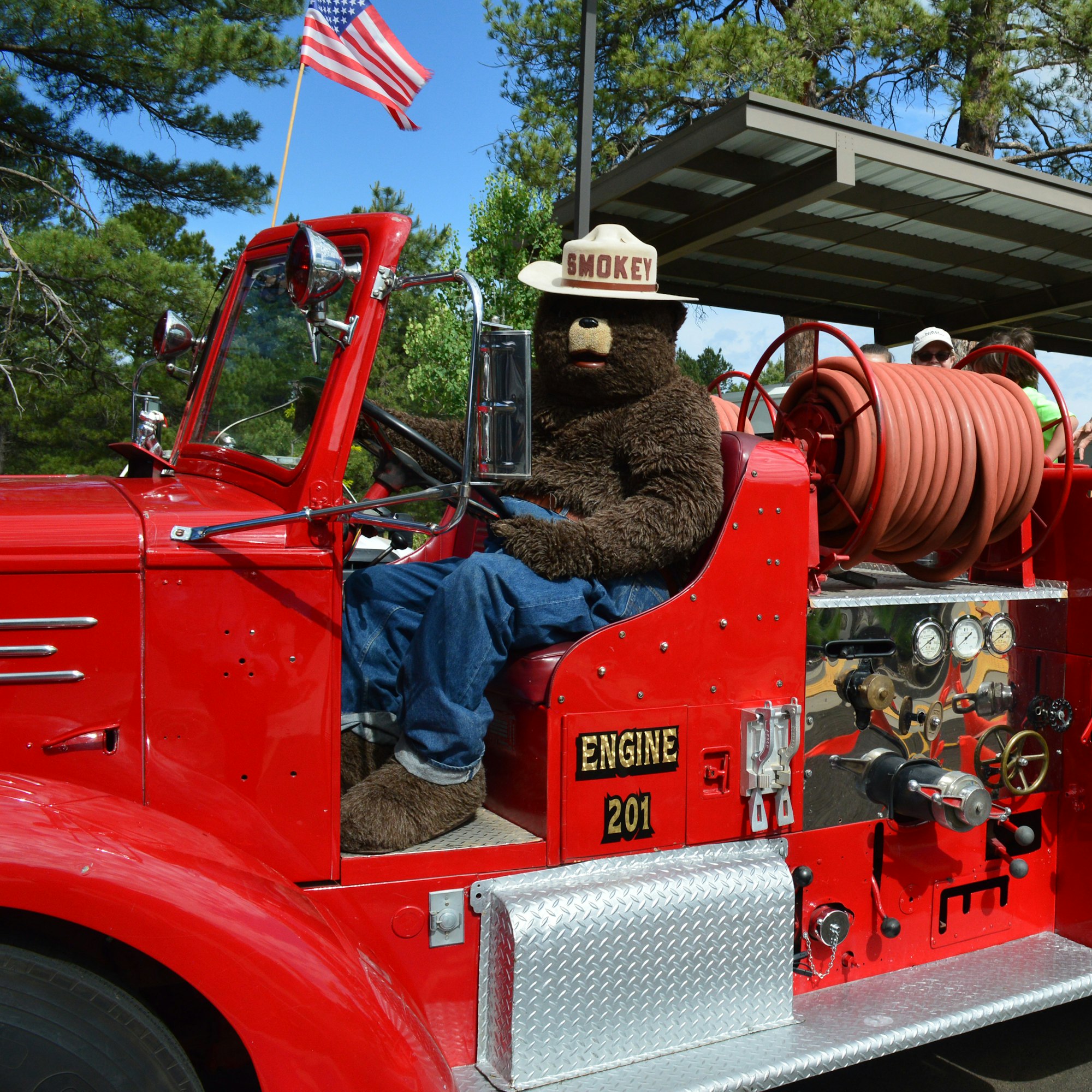 A person in a Smokey Bear costume sits on a red fire engine with an American flag in the background.