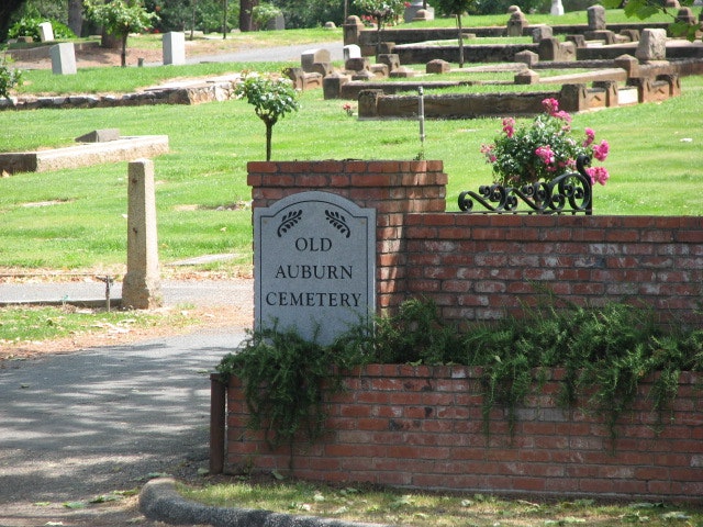 cemetery, plants, grass
