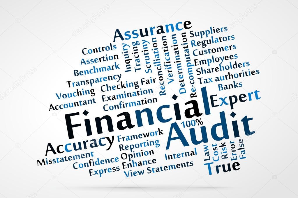 The image features a word cloud primarily focused on "Financial Audit" and related terms like accuracy, assurance, and controls.
