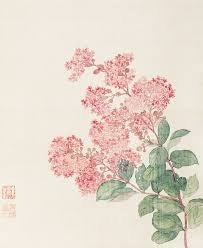 Illustration of a flowering plant with pink blooms and green leaves, Asian art style, subtle background, with a red seal mark.