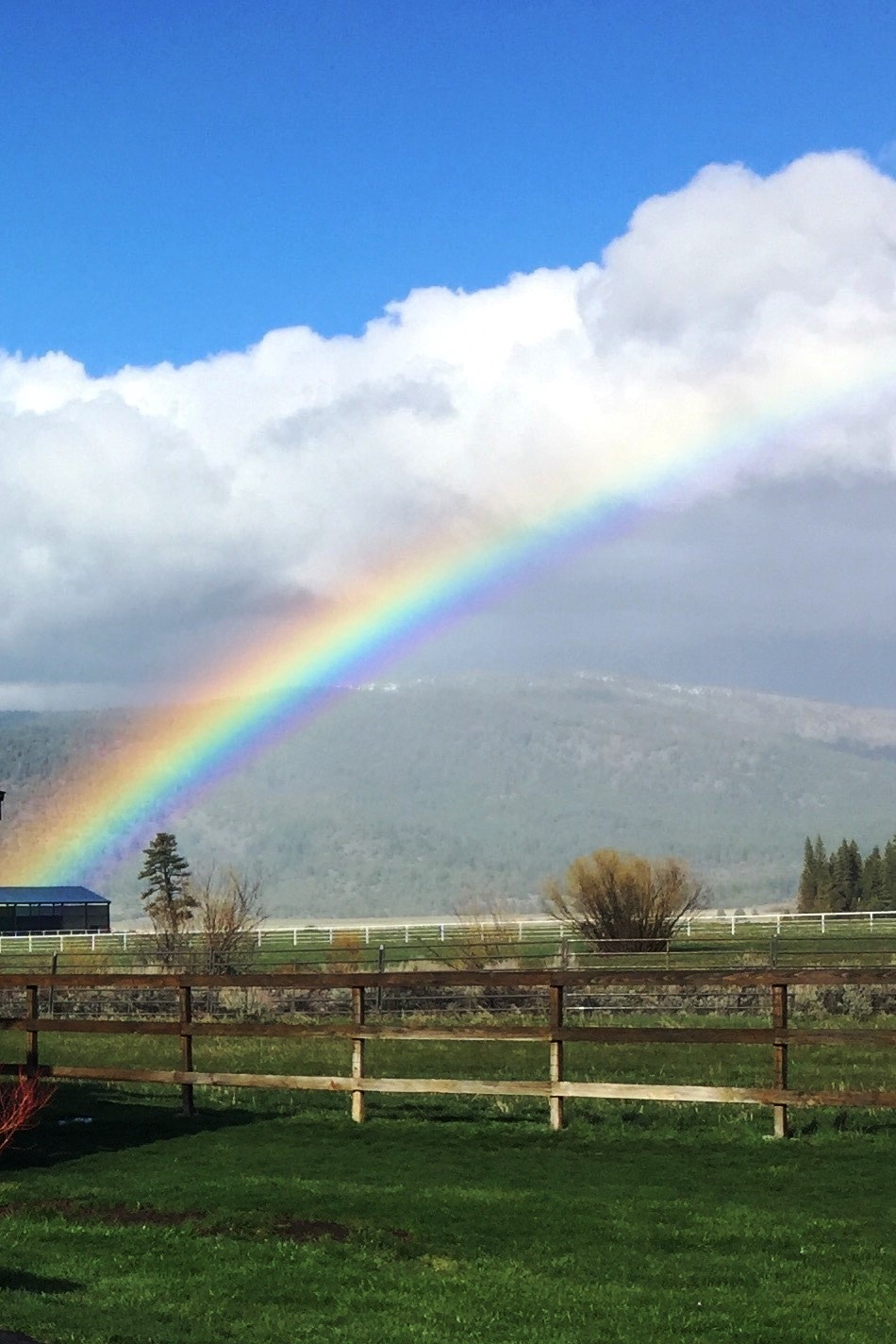 May contain: nature, outdoors, sky, and rainbow