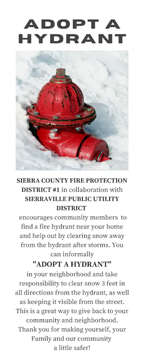 Adopt A Hydrant