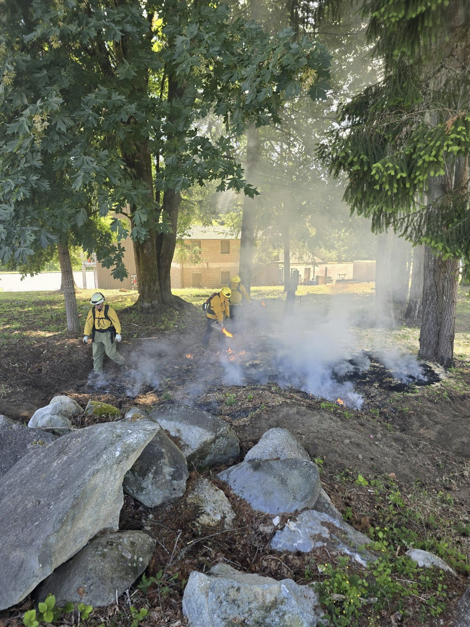 Two firefighters in yellow gear are managing a controlled burn in a forested area, surrounded by smoke and trees.