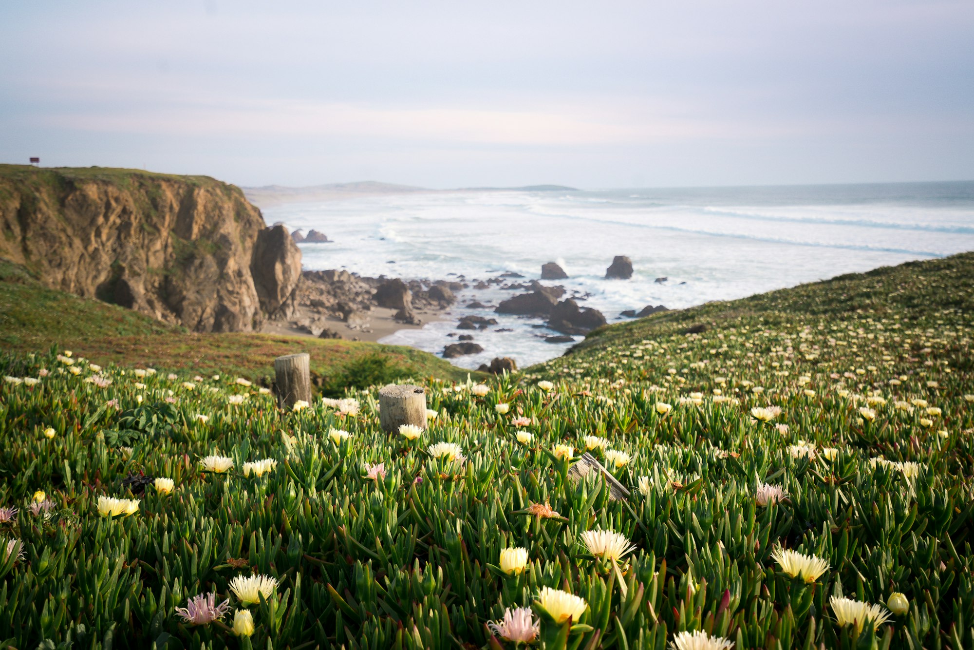 May contain: promontory, plant, nature, outdoors, cliff, and grass