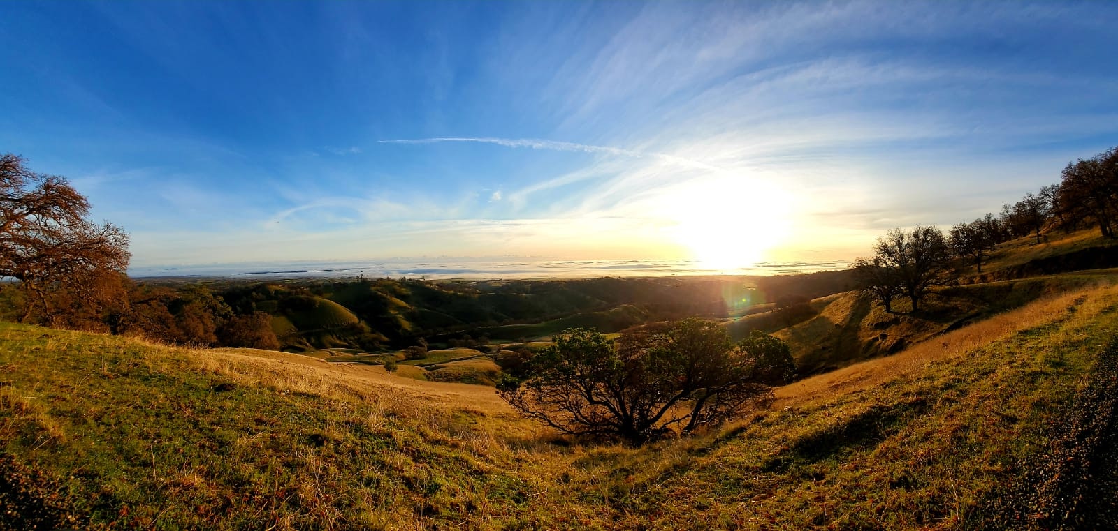 May contain: nature, outdoors, light, flare, and sunlight