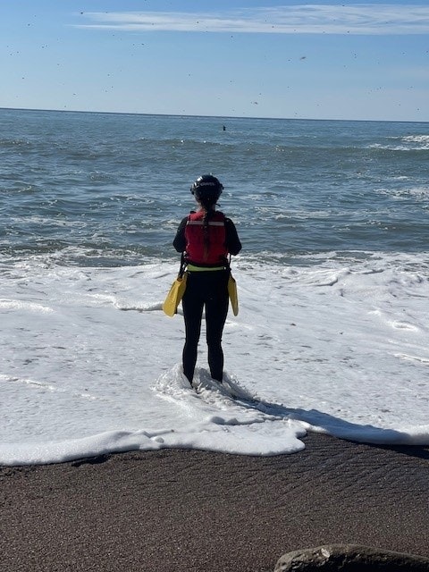 May contain: person, human, sea, ocean, nature, outdoors, water, shoreline, beach, and coast