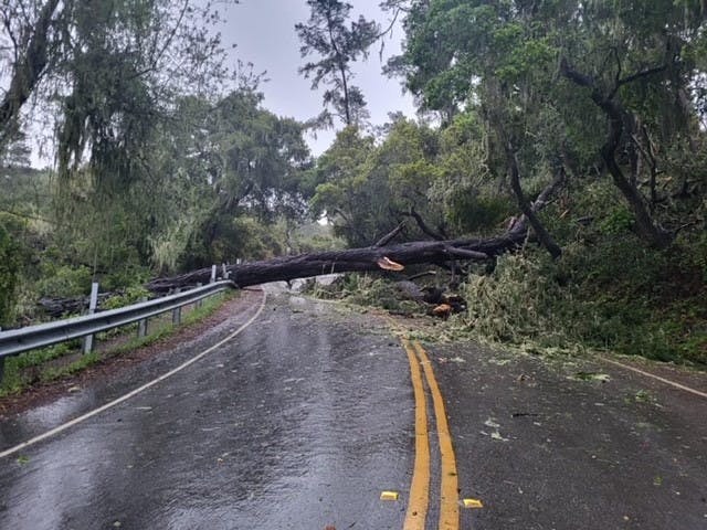 May contain: road and rain