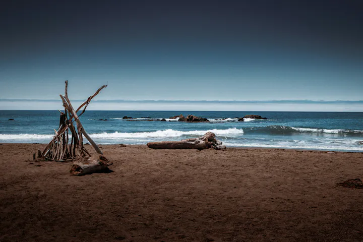 A driftwood structure on a sandy beach with waves and a clear blue sky in the background.