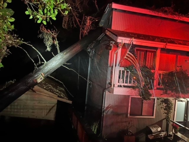 tree falling on building