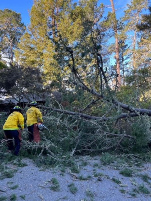May contain: clothing, coat, helmet, plant, vegetation, person, land, nature, outdoors, tree, woodland, bag, boat, canoe, canoeing, leisure activities, rowboat, sport, transportation, vehicle, water, water sports, backpack, backpacking, and glove