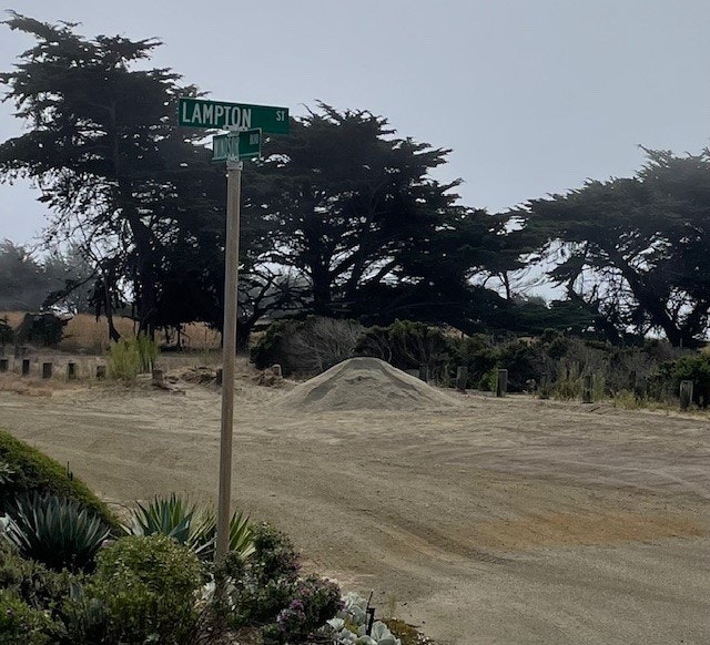 A street sign reading "LAMPTON ST," with a dirt road and trees in foggy weather.