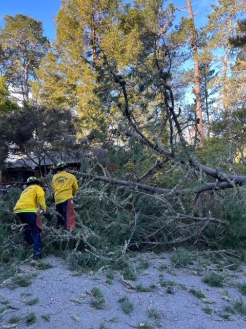 May contain: plant, vegetation, bag, person, helmet, backpack, backpacking, land, nature, outdoors, tree, woodland, adventure, hiking, and leisure activities